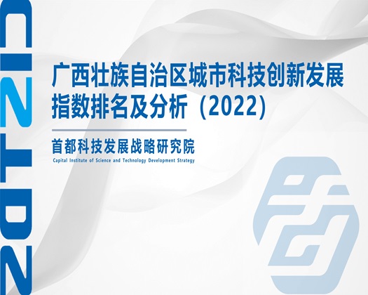 轮奸插入挺进【成果发布】广西壮族自治区城市科技创新发展指数排名及分析（2022）